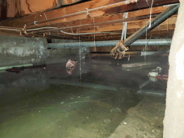 Best Flooded house restoration  in Milford Square, PA