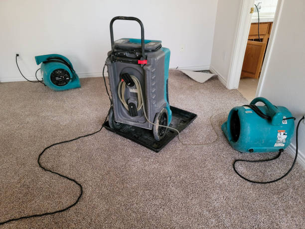 Best Water damage contractors near me  in Milford Square, PA