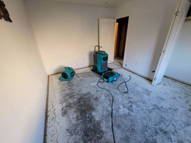 Best Water damage restoration insurance claims  in Milford Square, PA