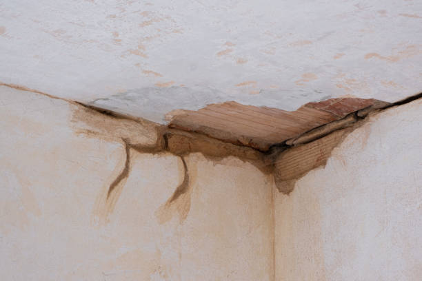 Best Sewage cleanup and water damage restoration  in Milford Square, PA