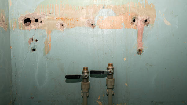 Best Water damage restoration mold remediation  in Milford Square, PA